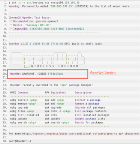 使用 SSH 連線至 AP